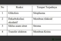Manakah pasangan dari reaksi metabolisme yang tepat dari tabel diatas…?