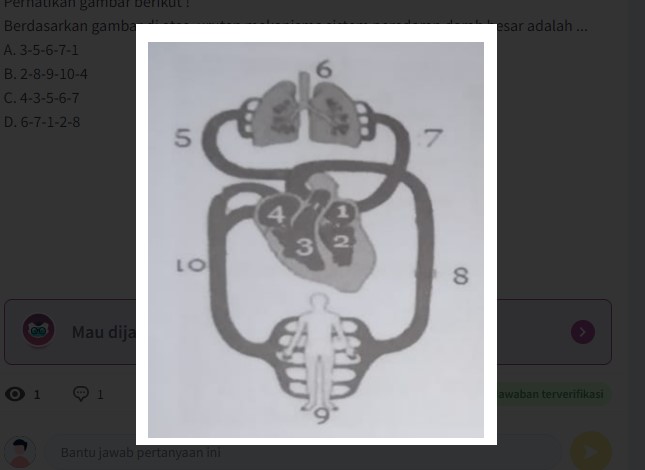 Perhatikan gambar berikut ! Berdasarkan gambar di atas, urutan mekanisme sistem peredaran darah besar adalah …